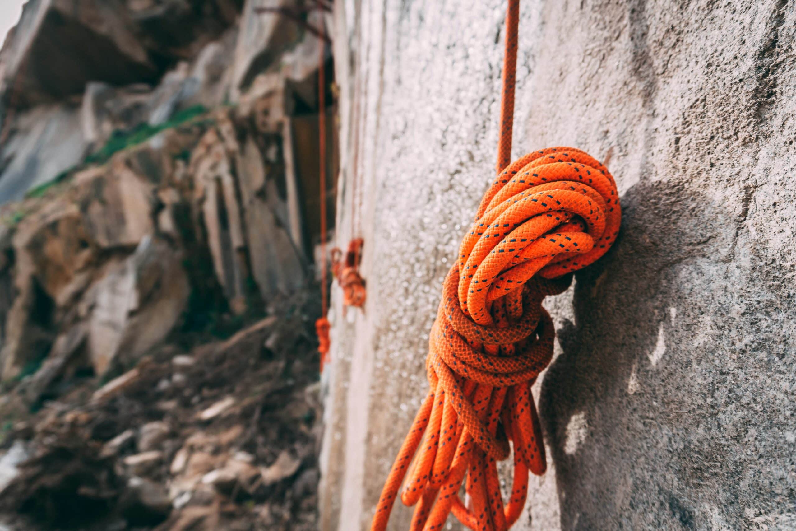 Climbing Rope, strongest dog leash materials